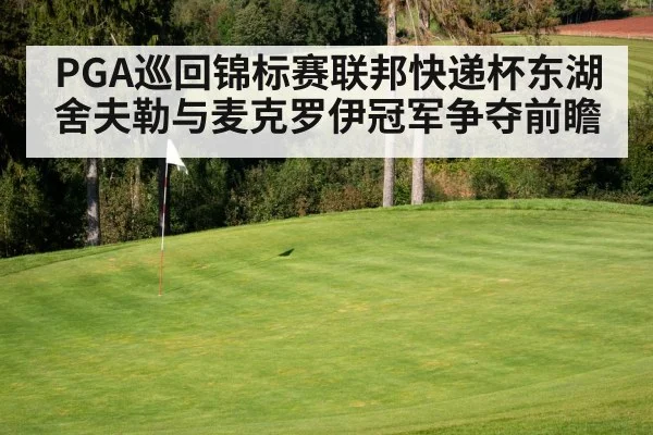 PGA巡回锦标赛联邦快递杯东湖舍夫勒与麦克罗伊冠军争夺前瞻